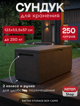 Садовый сундук WOOD LOOK BOX SPRINGWOOD 305L